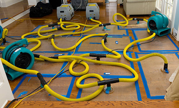 Professional Water Extraction technician working in Plainfield, IN